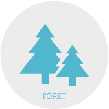 foret-icon-sogedo-gris