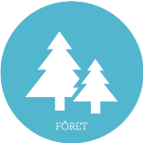 Icone forêt