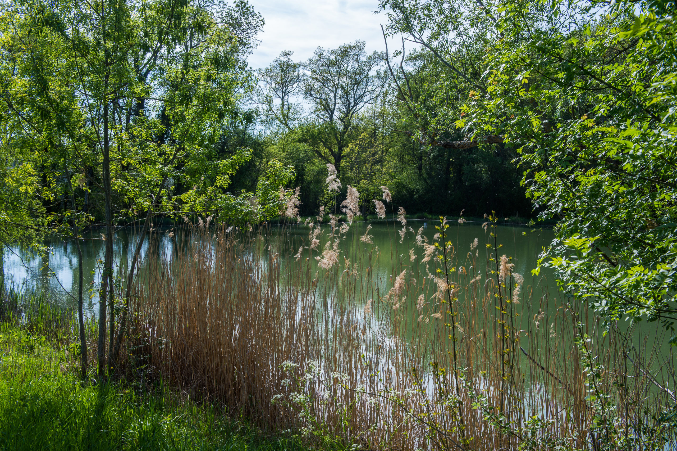 L’Agence de l’Eau Adour Garonne retrace 50 ans d’actions en faveur de l’eau