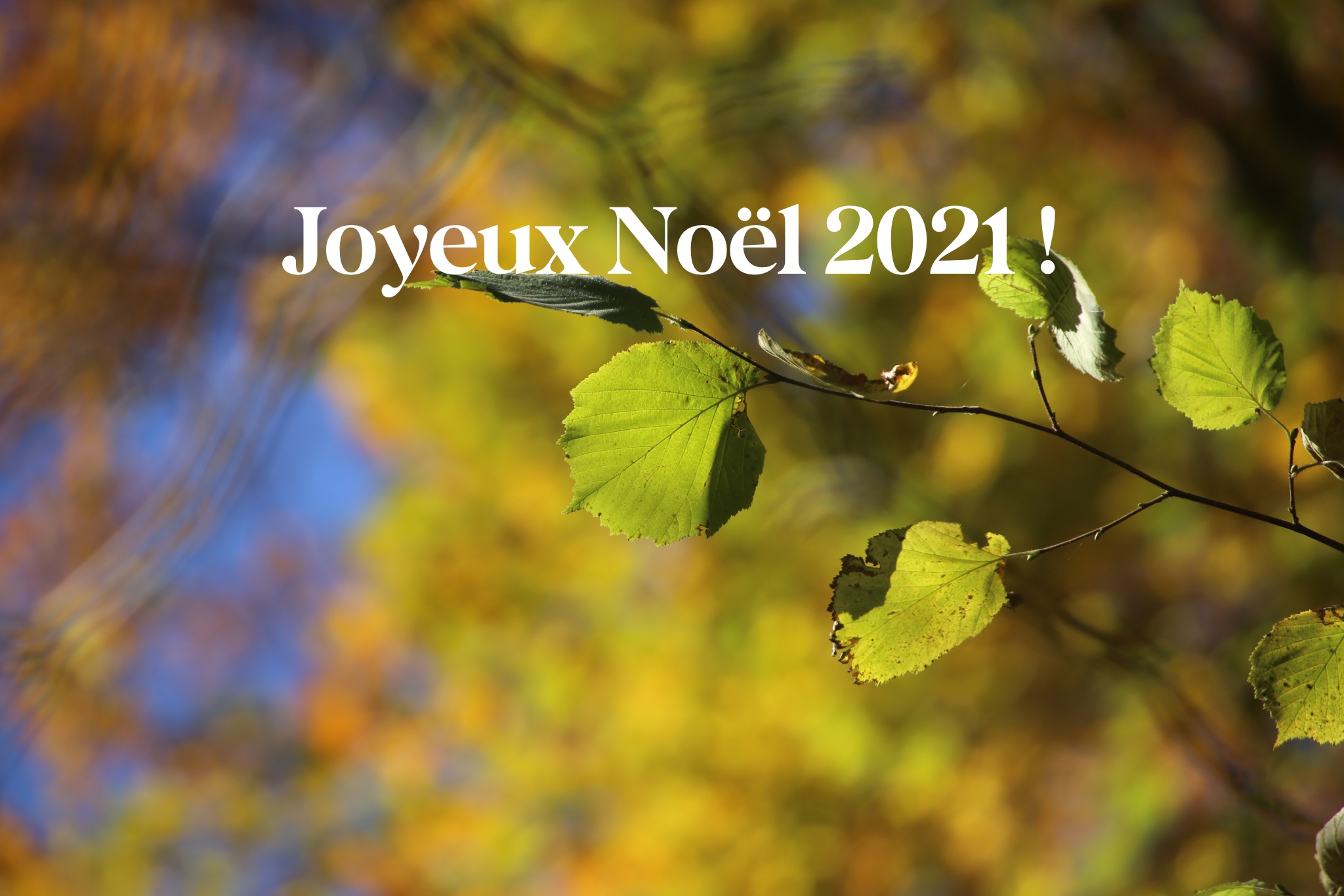 Joyeux Noël 2021 !