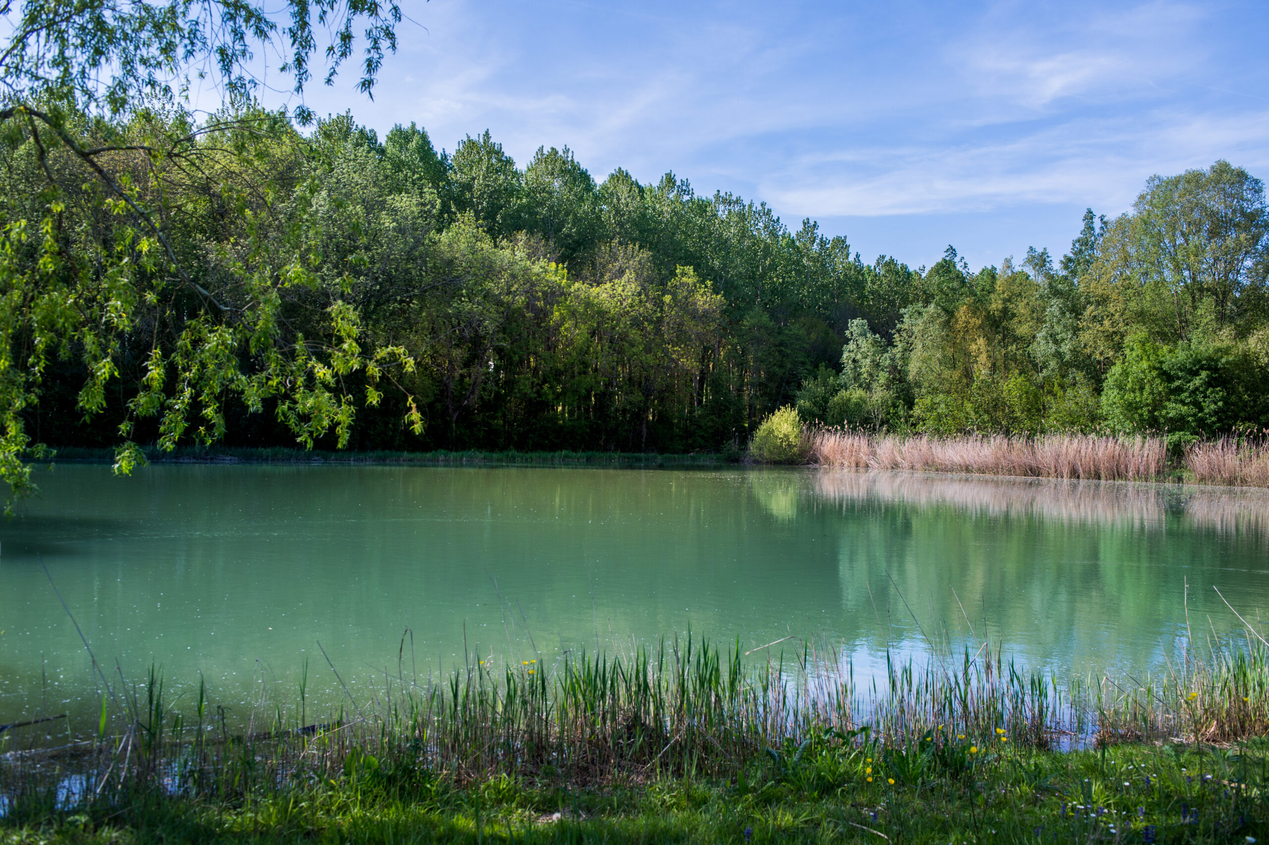 Les lacs : des trésors pour la biodiversité